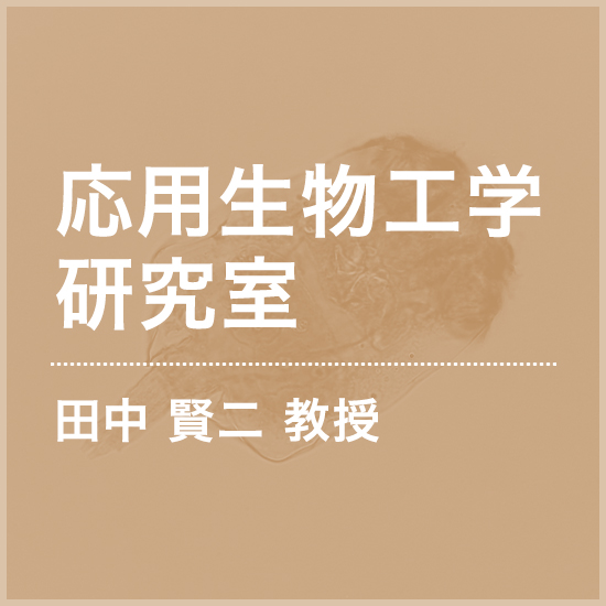 応用生物工学研究室 田中 賢二