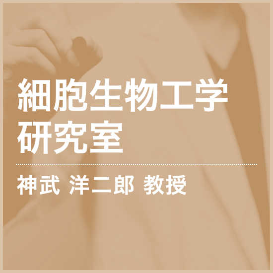 細胞生物工学研究室
